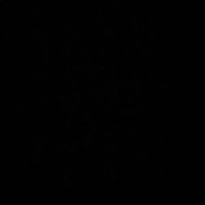 Meet your Posher, Aaliyah